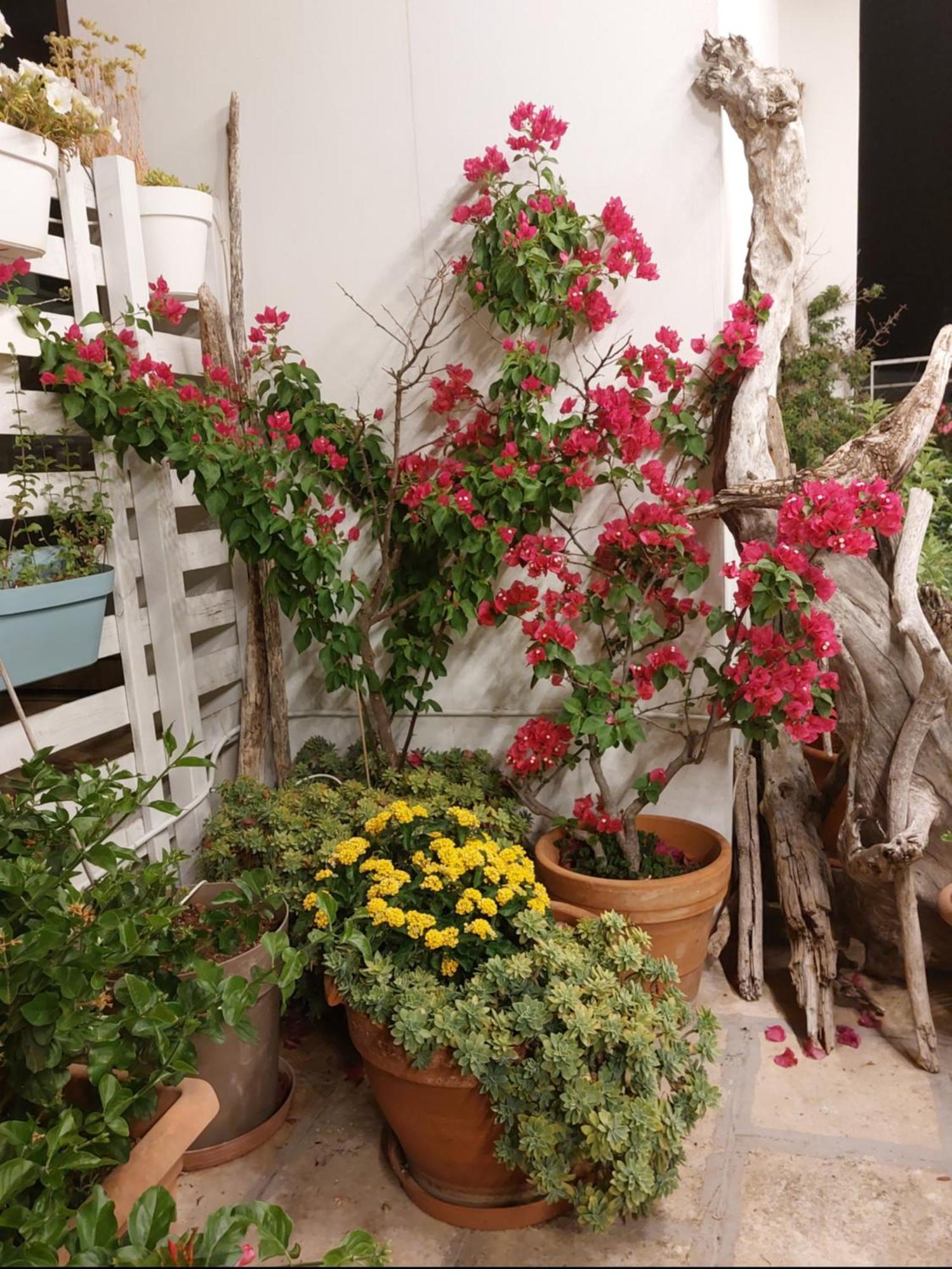 Mandorleolio Bed & Breakfast Polignano a Mare Exterior photo