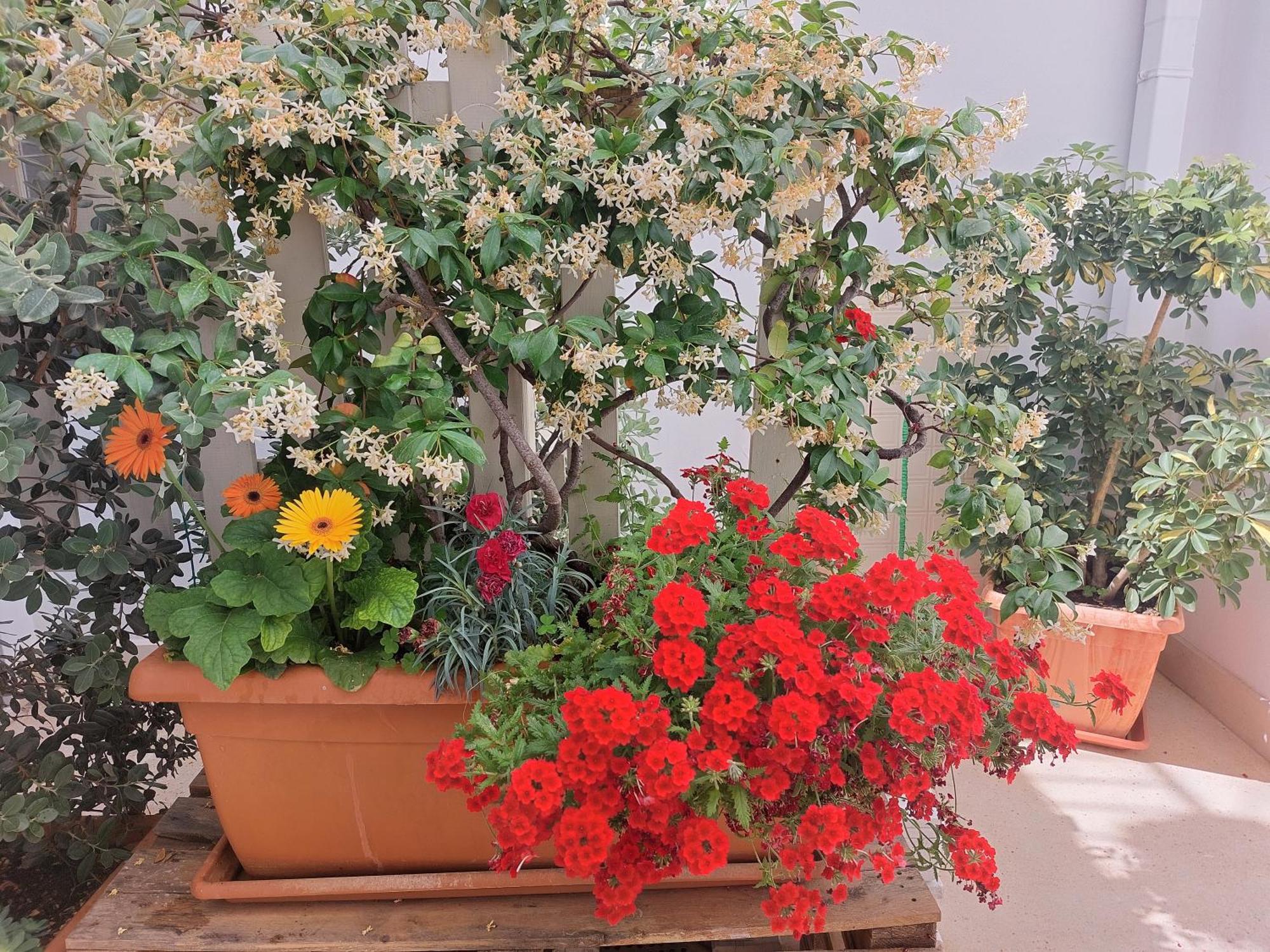 Mandorleolio Bed & Breakfast Polignano a Mare Exterior photo