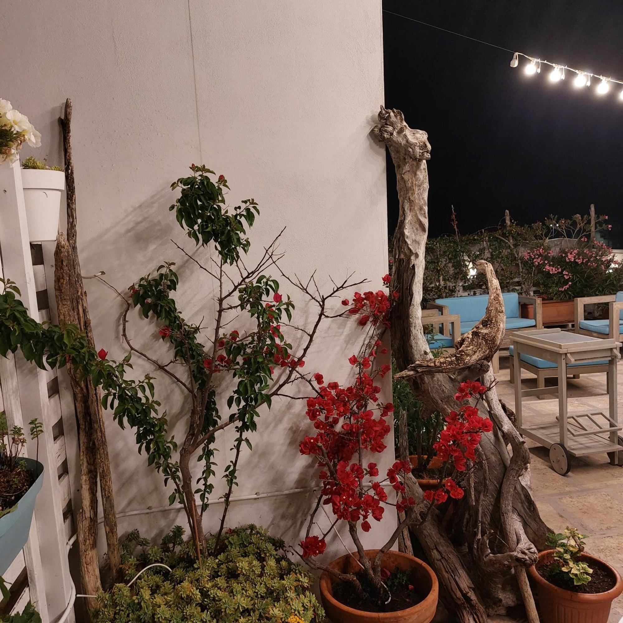 Mandorleolio Bed & Breakfast Polignano a Mare Exterior photo